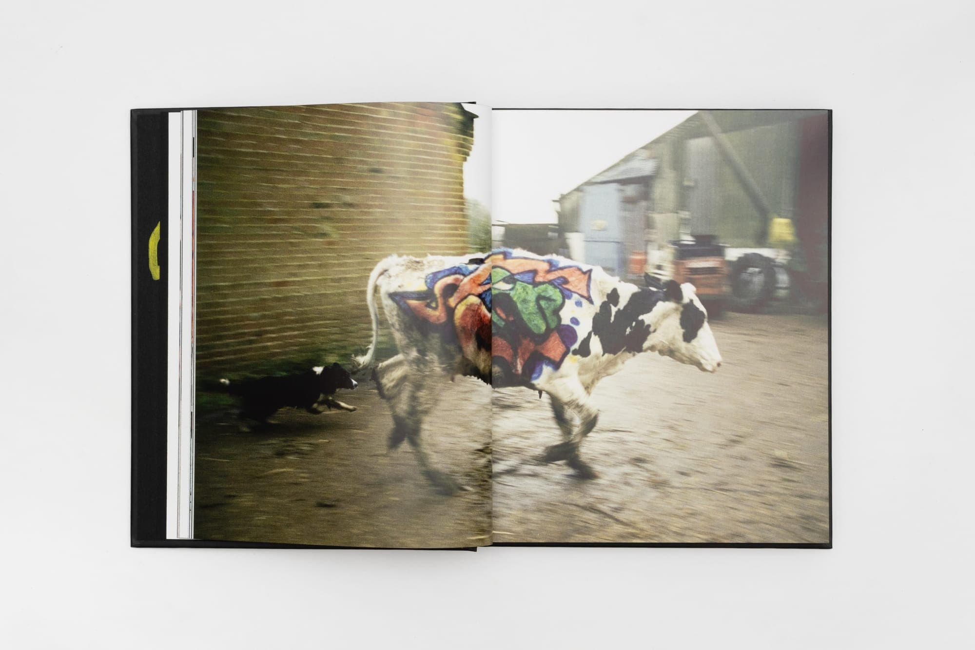 Spread — painted livestock, from Banksy Captured