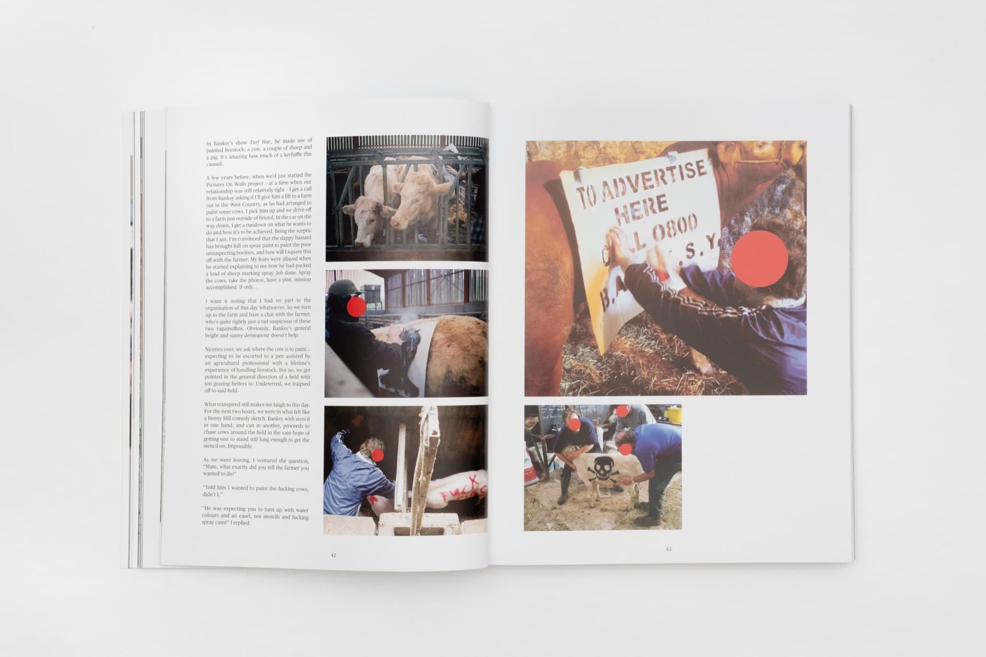 Spread — Turf War painted livestock, from Banksy Captured